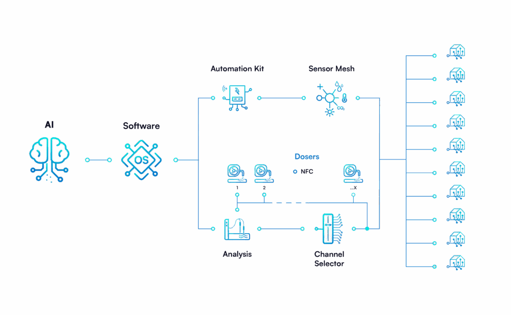 System EdenForge